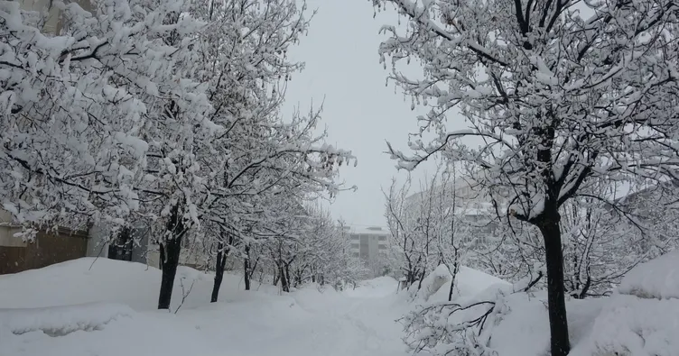 9,5 metre kar yağdı, ekipler seferber oldu