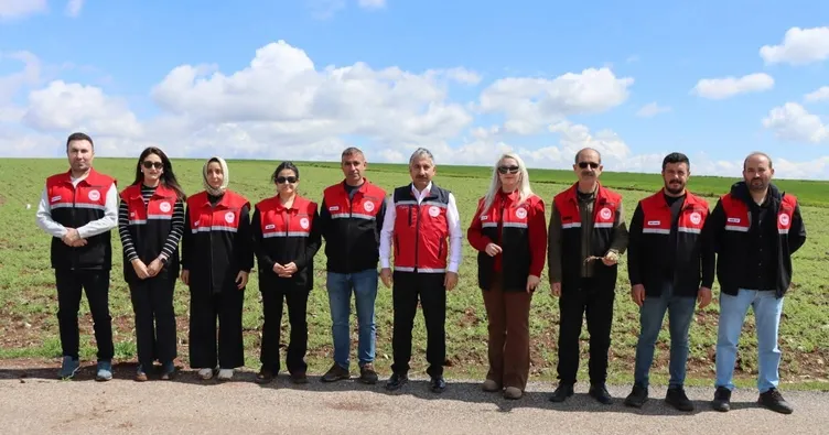 Adıyaman’da hububat ve nohut alanlarında hastalık alarmı! Sürvey çalışmaları tamamlandı