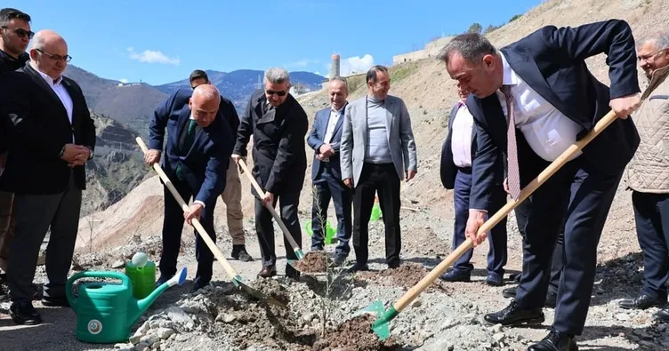 Artvin’de 450 Butko zeytini fidanı toprakla buluşturuldu