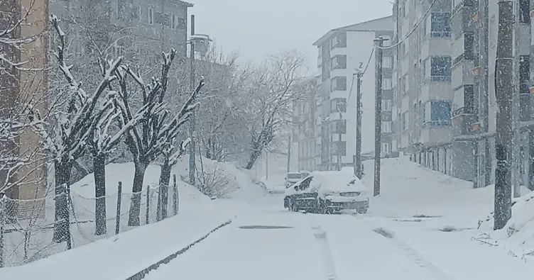Bitlis’te bahar beklenirken kar geldi