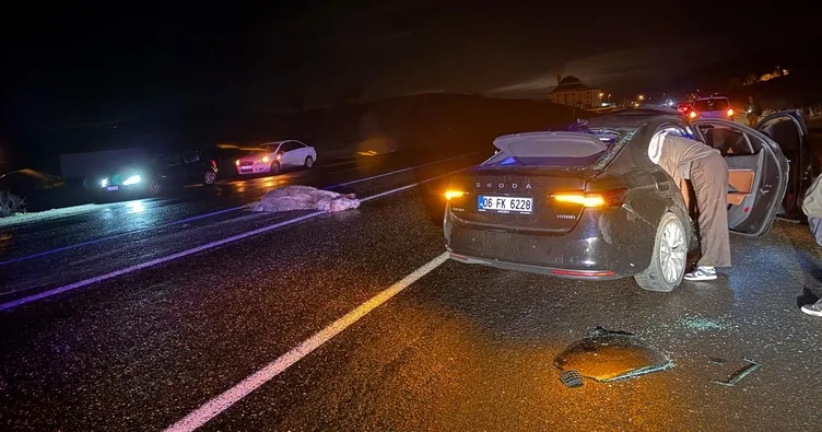 Bingöl’de yola çıkan ata çarpan otomobil savruldu! 4 yaralı