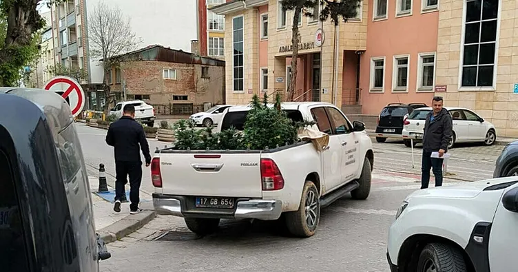 Dairesinde uyuşturucu yetiştiren şüpheli yakalandı!