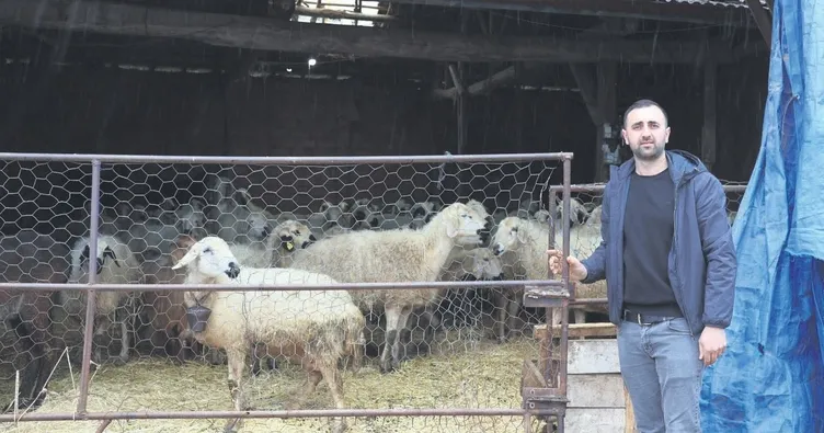 Devlet destekledi Sercan başardı