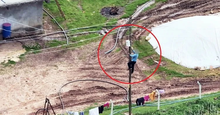 Dronu gördü kaçak elektrik hattını iptal etmeye çıktı: O anlar drone kamerasına yansıdı