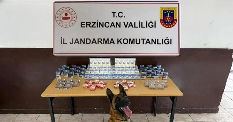 Erzincan’da jandarmadan kaçakçılık ve narkotik operasyonları: 8 Tutuklama