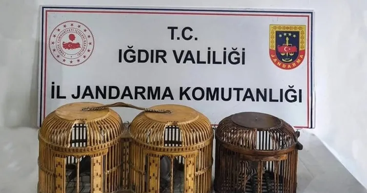 Iğdır’da kaçak keklik avcılarına 72 bin 829 lira ceza uygulandı