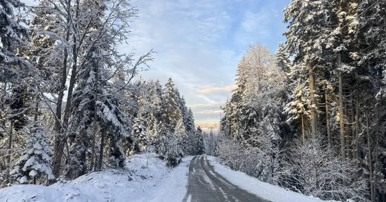 Karadeniz’e Nisan karı: 4 il beyaza büründü