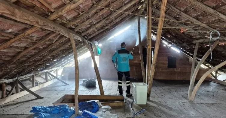 Kokarcaya karşı seferberlik! 3 bin yapı ilaçlandı