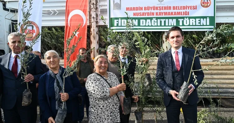 Nusaybin’de çiftçilere zeytin fidanı desteği